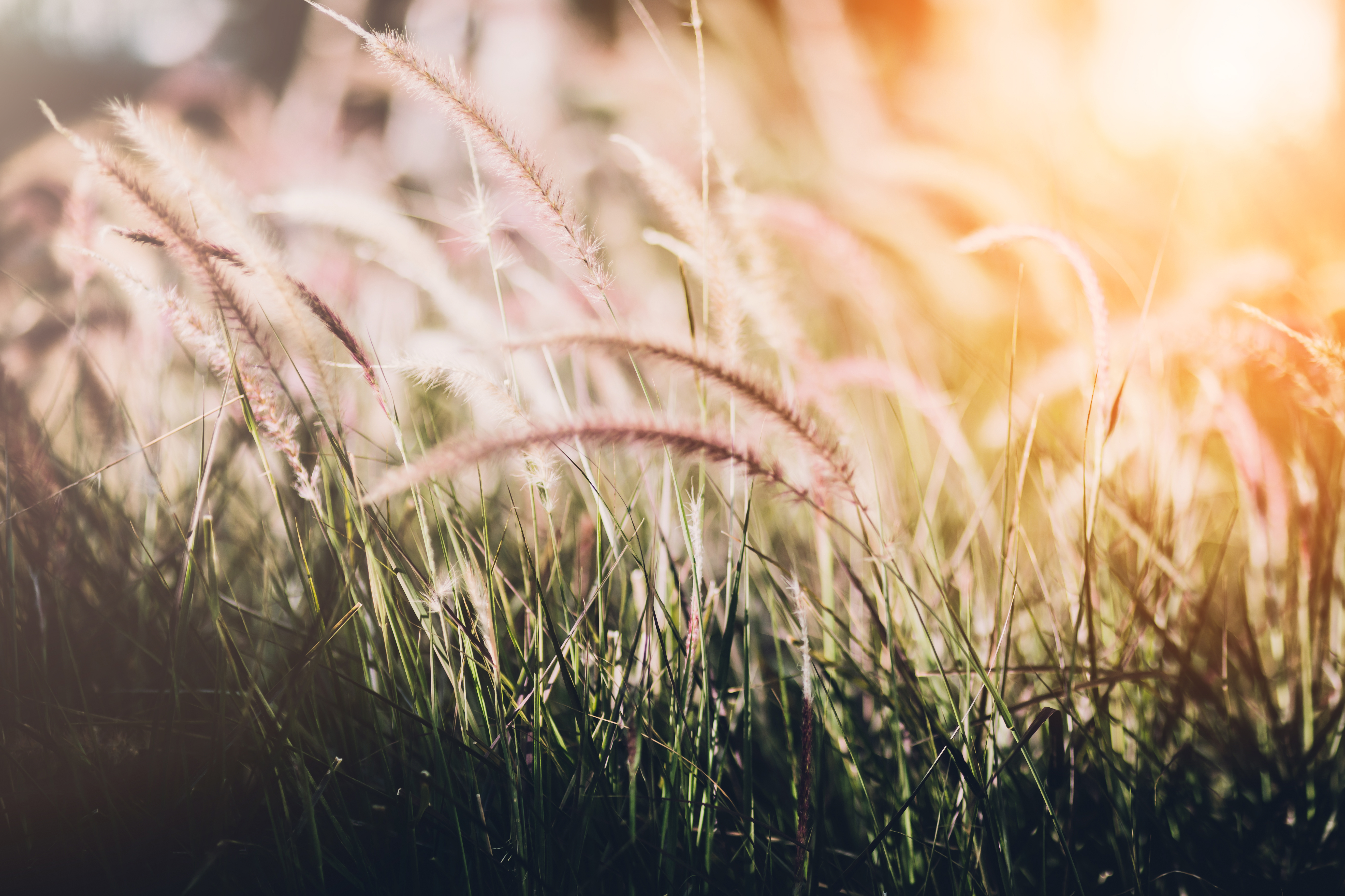 Generalized Anxiety Disorder